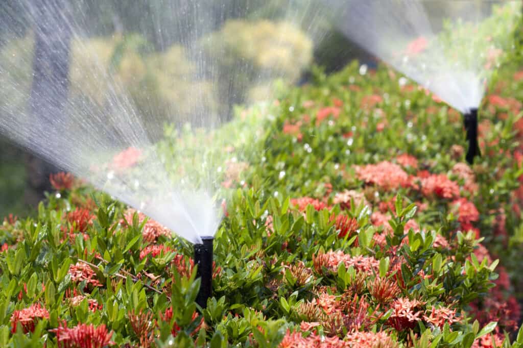 Sprinkler Systems